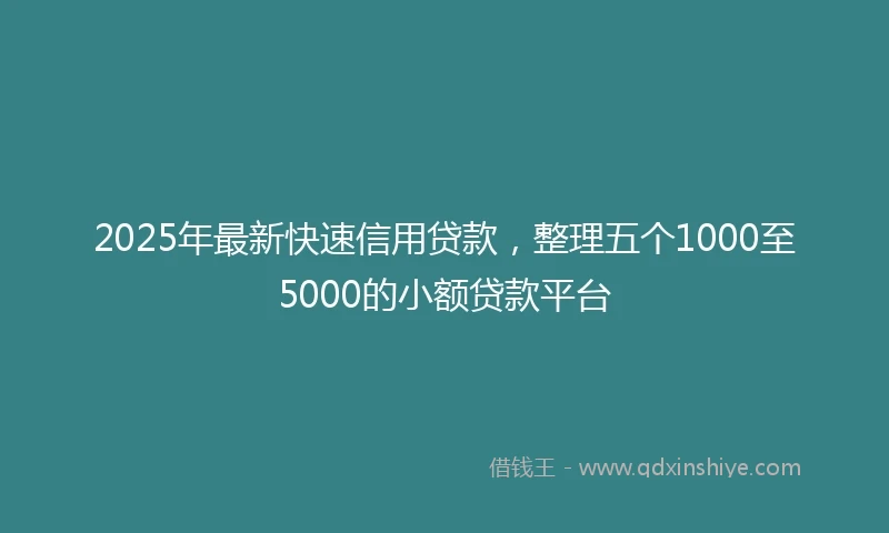 2025年最新快速信用贷款，整理五个1000至5000的小额贷款平台