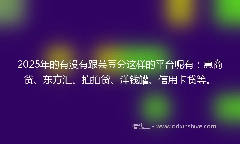 2025年的有没有跟芸豆分这样的平台呢有：惠商贷、东方汇、拍拍贷、洋钱罐、信用卡贷等。
