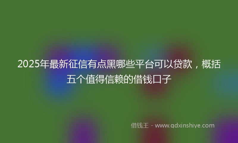 2025年最新征信有点黑哪些平台可以贷款，概括五个值得信赖的借钱口子