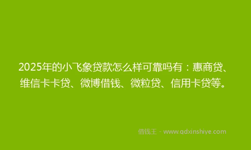 2025年的小飞象贷款怎么样可靠吗有：惠商贷、维信卡卡贷、微博借钱、微粒贷、信用卡贷等。