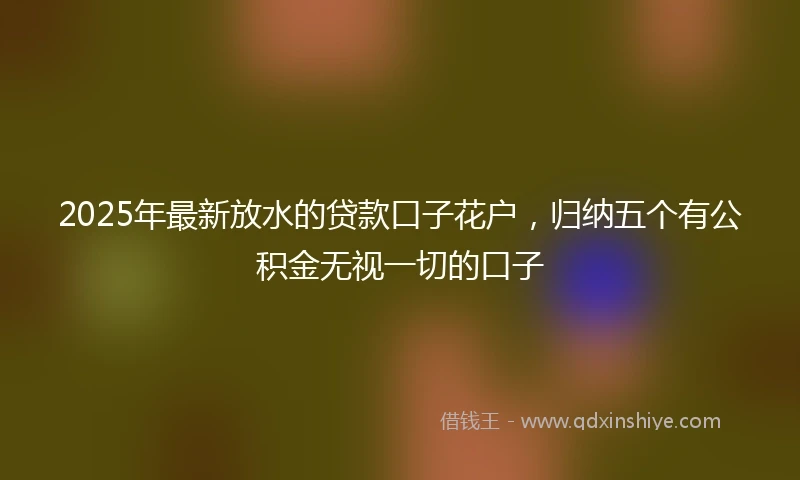 2025年最新放水的贷款口子花户，归纳五个有公积金无视一切的口子