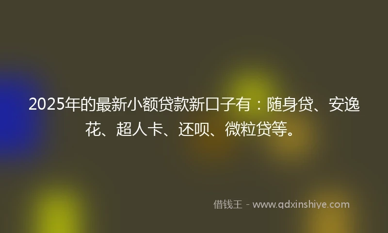 2025年的最新小额贷款新口子有：随身贷、安逸花、超人卡、还呗、微粒贷等。