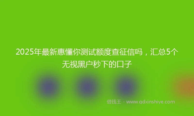2025年最新惠懂你测试额度查征信吗，汇总5个无视黑户秒下的口子