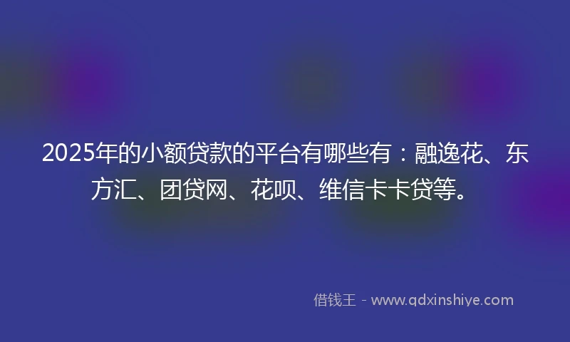 2025年的小额贷款的平台有哪些有：融逸花、东方汇、团贷网、花呗、维信卡卡贷等。
