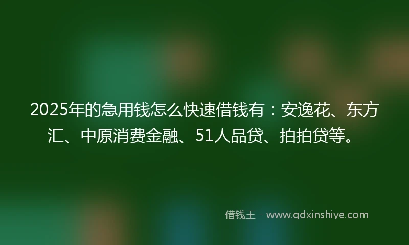 2025年的急用钱怎么快速借钱有：安逸花、东方汇、中原消费金融、51人品贷、拍拍贷等。