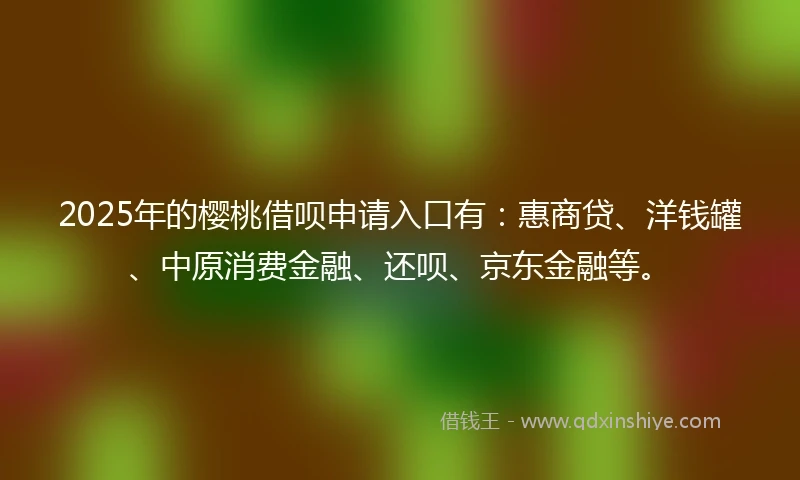 2025年的樱桃借呗申请入口有：惠商贷、洋钱罐、中原消费金融、还呗、京东金融等。