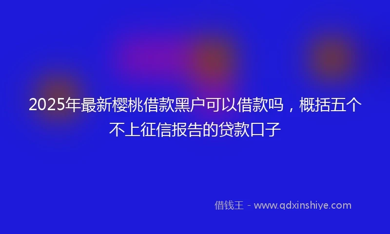 2025年最新樱桃借款黑户可以借款吗，概括五个不上征信报告的贷款口子