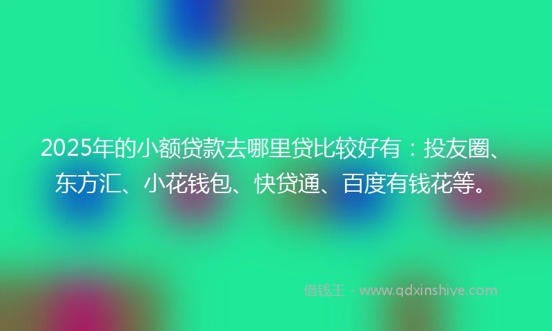 2025年的小额贷款去哪里贷比较好有：投友圈、东方汇、小花钱包、快贷通、百度有钱花等。