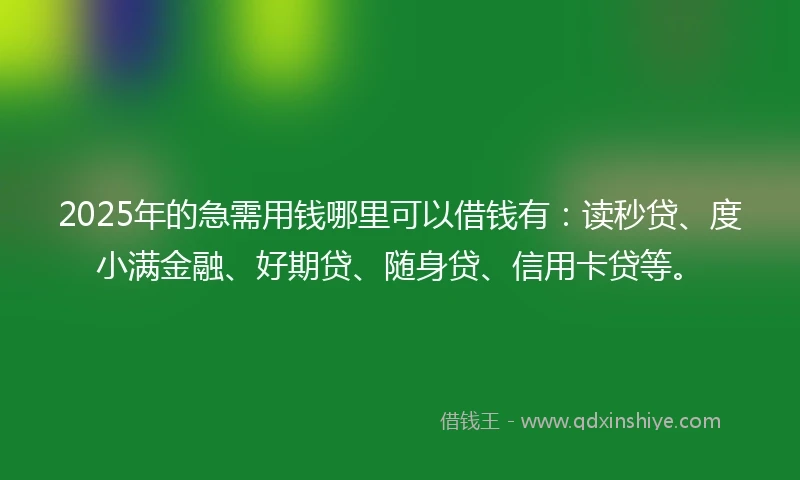 2025年的急需用钱哪里可以借钱有：读秒贷、度小满金融、好期贷、随身贷、信用卡贷等。
