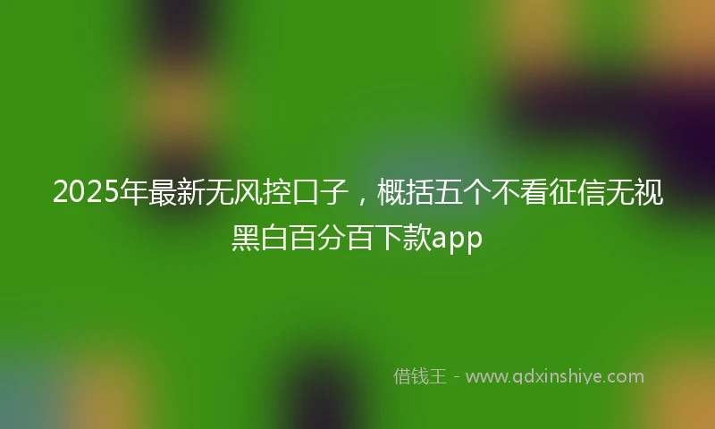 2025年最新无风控口子，概括五个不看征信无视黑白百分百下款app