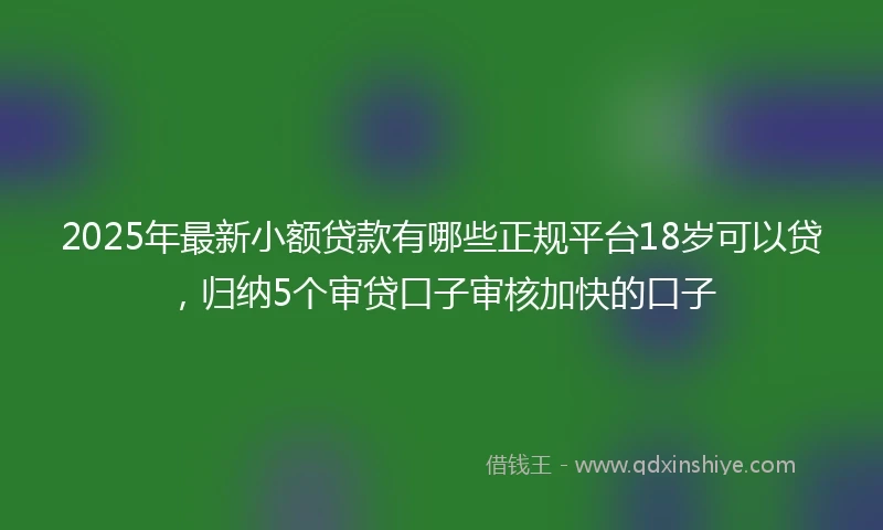 2025年最新小额贷款有哪些正规平台18岁可以贷，归纳5个审贷口子审核加快的口子