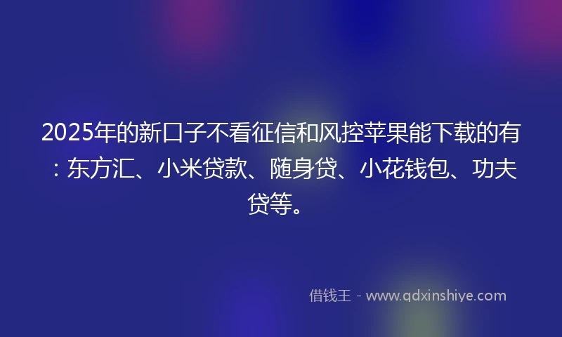 2025年的新口子不看征信和风控苹果能下载的有：东方汇、小米贷款、随身贷、小花钱包、功夫贷等。