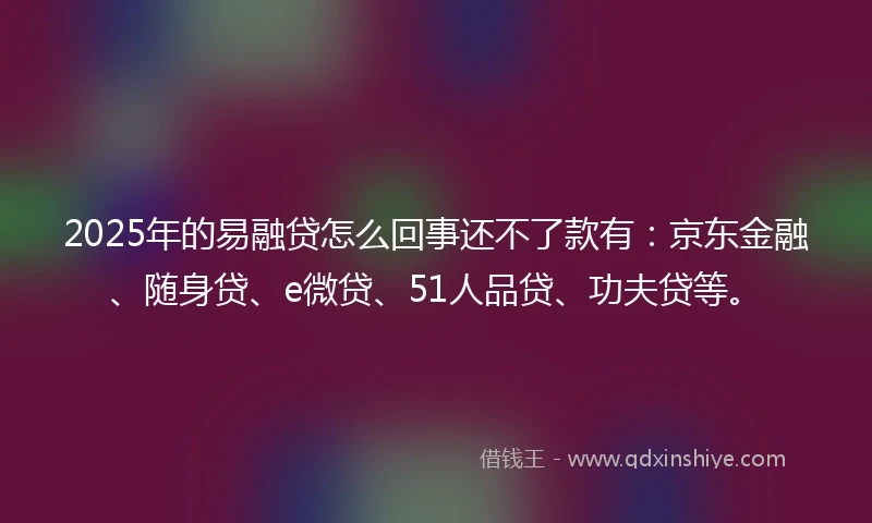 2025年的易融贷怎么回事还不了款有：京东金融、随身贷、e微贷、51人品贷、功夫贷等。