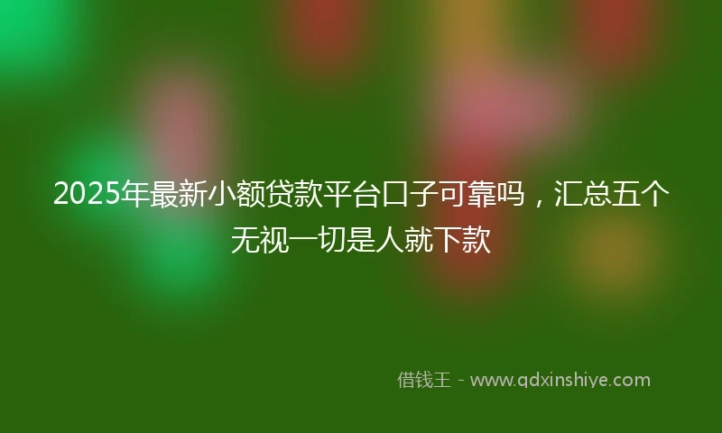 2025年最新小额贷款平台口子可靠吗，汇总五个无视一切是人就下款