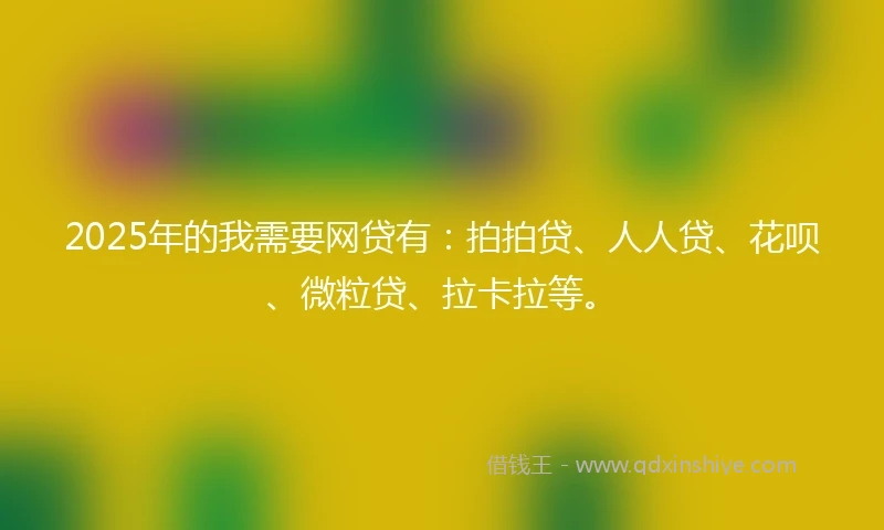 2025年的我需要网贷有：拍拍贷、人人贷、花呗、微粒贷、拉卡拉等。