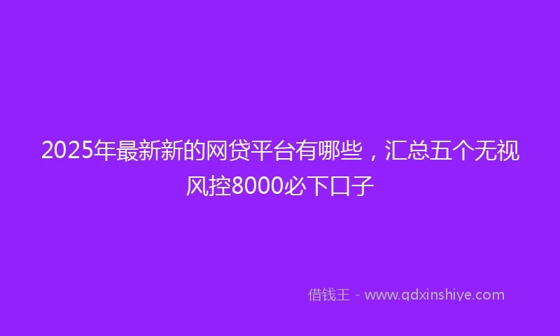 2025年最新新的网贷平台有哪些，汇总五个无视风控8000必下口子