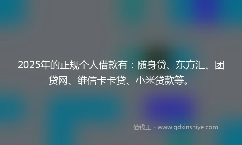 2025年的正规个人借款有：随身贷、东方汇、团贷网、维信卡卡贷、小米贷款等。