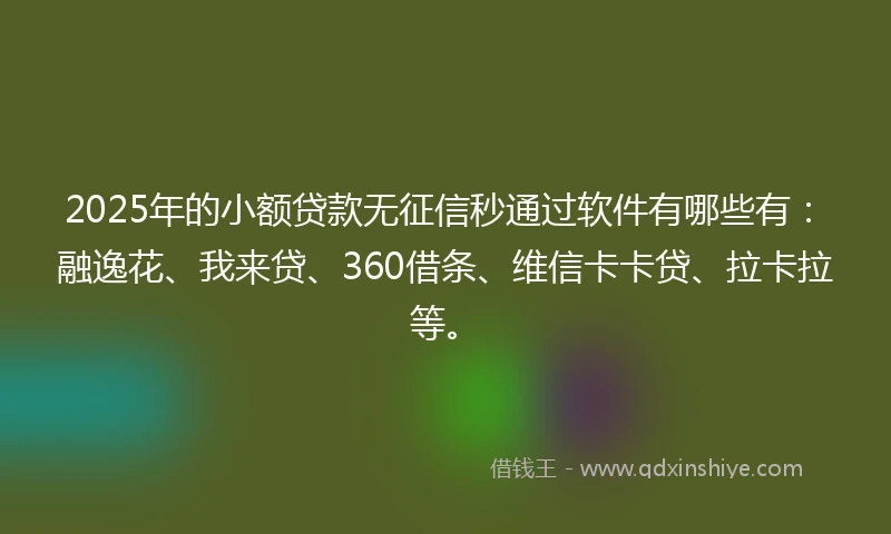 2025年的小额贷款无征信秒通过软件有哪些有：融逸花、我来贷、360借条、维信卡卡贷、拉卡拉等。