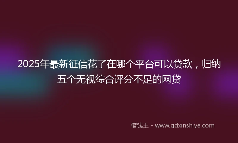 2025年最新征信花了在哪个平台可以贷款，归纳五个无视综合评分不足的网贷