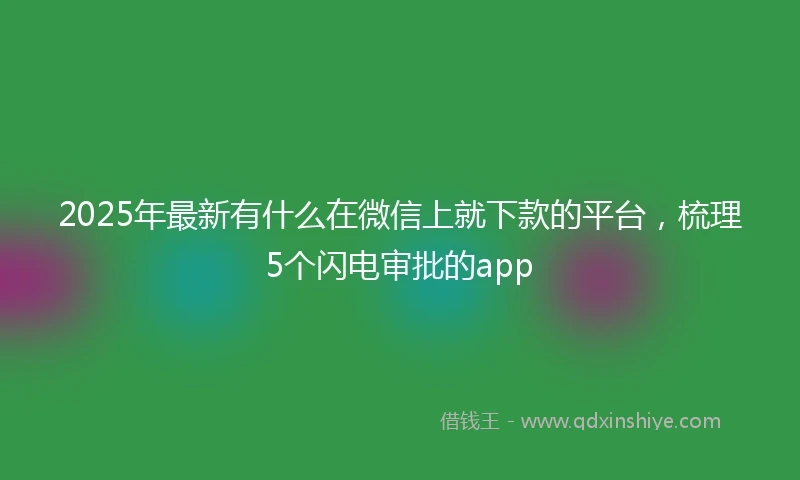 2025年最新有什么在微信上就下款的平台，梳理5个闪电审批的app