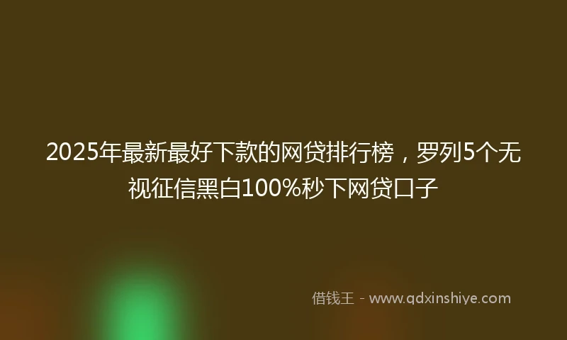 2025年最新最好下款的网贷排行榜，罗列5个无视征信黑白100%秒下网贷口子