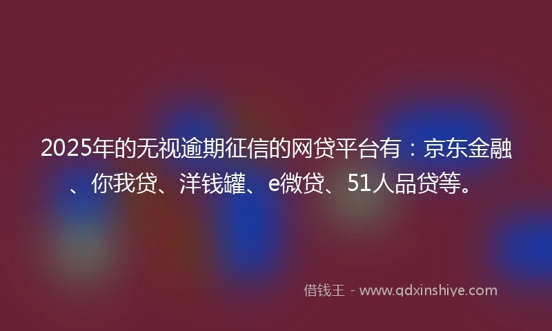 2025年的无视逾期征信的网贷平台有：京东金融、你我贷、洋钱罐、e微贷、51人品贷等。