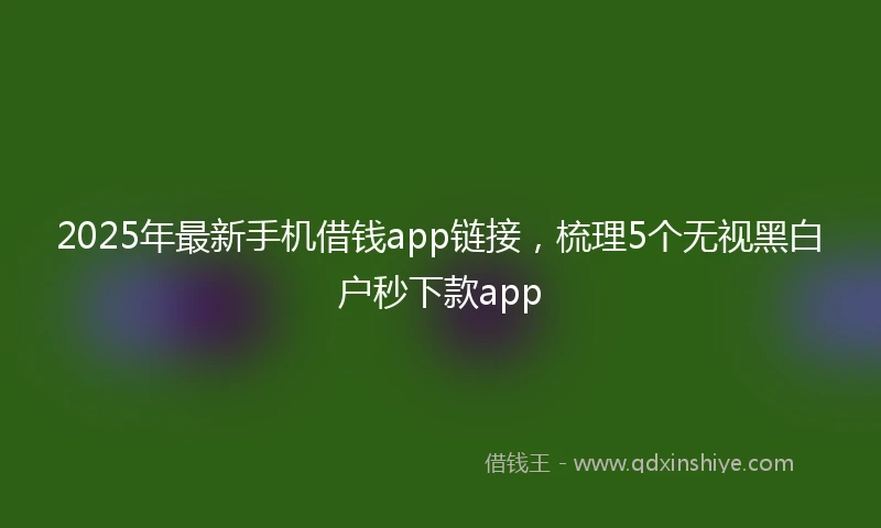 2025年最新手机借钱app链接，梳理5个无视黑白户秒下款app
