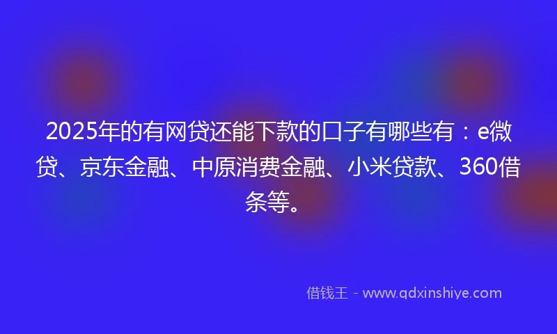 2025年的有网贷还能下款的口子有哪些有：e微贷、京东金融、中原消费金融、小米贷款、360借条等。