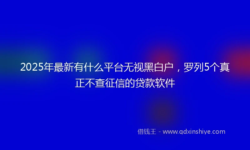 2025年最新有什么平台无视黑白户，罗列5个真正不查征信的贷款软件