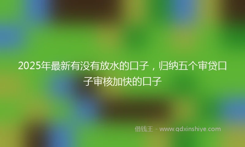 2025年最新有没有放水的口子，归纳五个审贷口子审核加快的口子