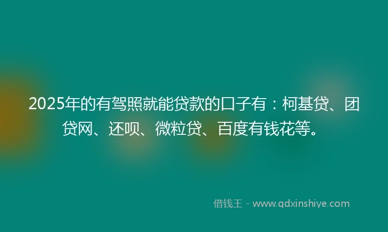 2025年的有驾照就能贷款的口子有：柯基贷、团贷网、还呗、微粒贷、百度有钱花等。