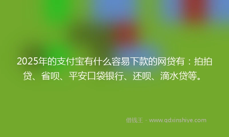2025年的支付宝有什么容易下款的网贷有：拍拍贷、省呗、平安口袋银行、还呗、滴水贷等。