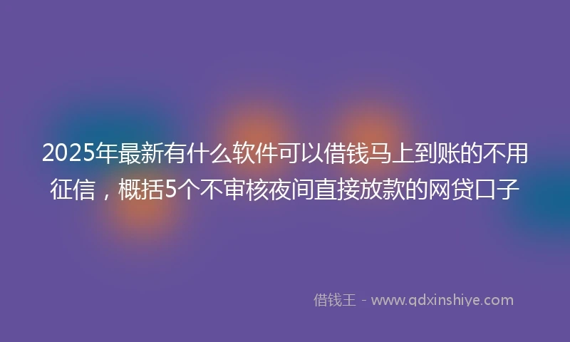 2025年最新有什么软件可以借钱马上到账的不用征信，概括5个不审核夜间直接放款的网贷口子