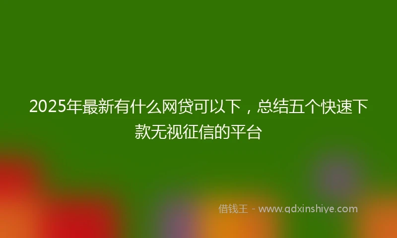 2025年最新有什么网贷可以下，总结五个快速下款无视征信的平台