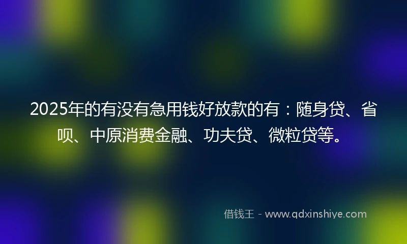 2025年的有没有急用钱好放款的有:随身贷、省呗、中原消费金融、功夫贷、微粒贷等。
