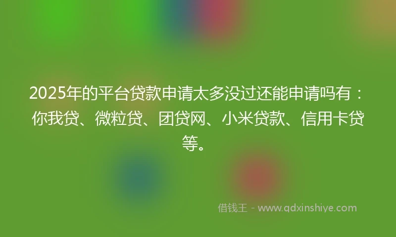 2025年的平台贷款申请太多没过还能申请吗有：你我贷、微粒贷、团贷网、小米贷款、信用卡贷等。