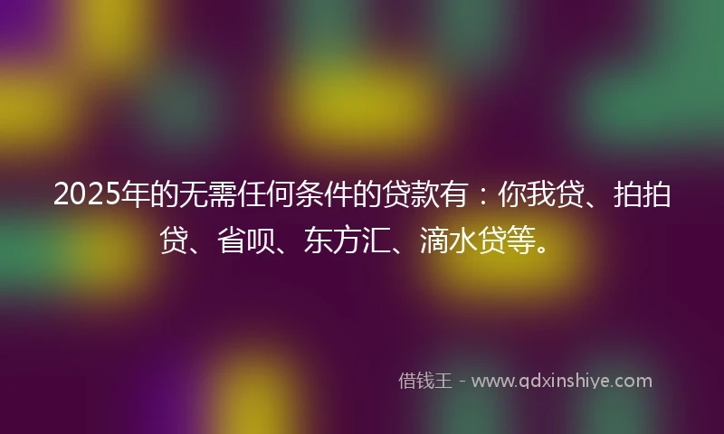 2025年的无需任何条件的贷款有：你我贷、拍拍贷、省呗、东方汇、滴水贷等。