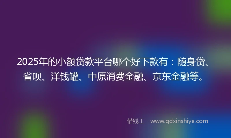 2025年的小额贷款平台哪个好下款有：随身贷、省呗、洋钱罐、中原消费金融、京东金融等。