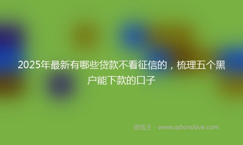 2025年最新有哪些贷款不看征信的，梳理五个黑户能下款的口子