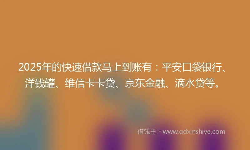 2025年的快速借款马上到账有：平安口袋银行、洋钱罐、维信卡卡贷、京东金融、滴水贷等。