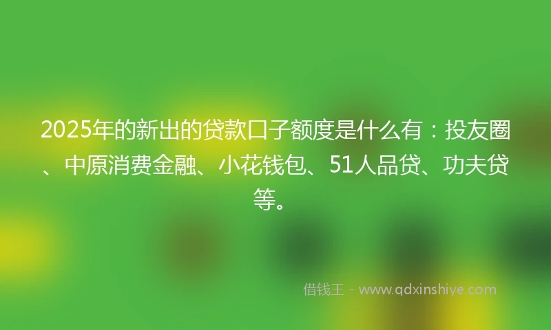 2025年的新出的贷款口子额度是什么有：投友圈、中原消费金融、小花钱包、51人品贷、功夫贷等。