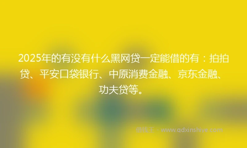 2025年的有没有什么黑网贷一定能借的有：拍拍贷、平安口袋银行、中原消费金融、京东金融、功夫贷等。