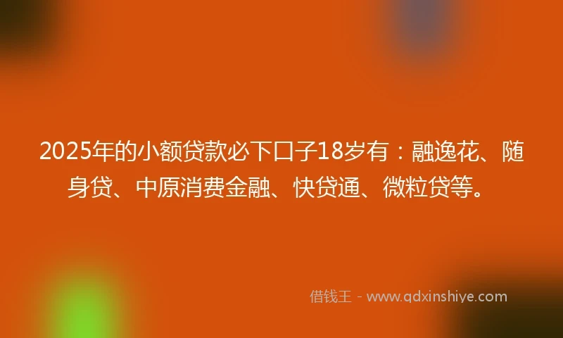 2025年的小额贷款必下口子18岁有：融逸花、随身贷、中原消费金融、快贷通、微粒贷等。