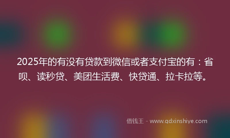 2025年的有没有贷款到微信或者支付宝的有：省呗、读秒贷、美团生活费、快贷通、拉卡拉等。