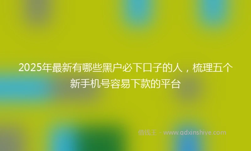 2025年最新有哪些黑户必下口子的人，梳理五个新手机号容易下款的平台