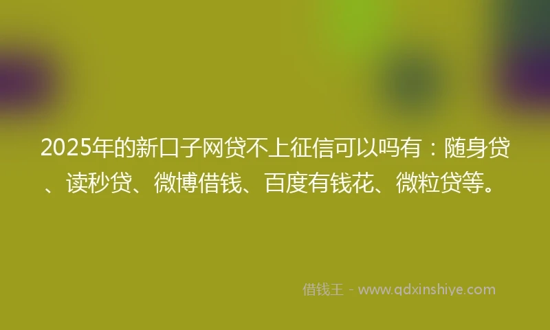 2025年的新口子网贷不上征信可以吗有：随身贷、读秒贷、微博借钱、百度有钱花、微粒贷等。