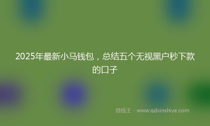 2025年最新小马钱包，总结五个无视黑户秒下款的口子