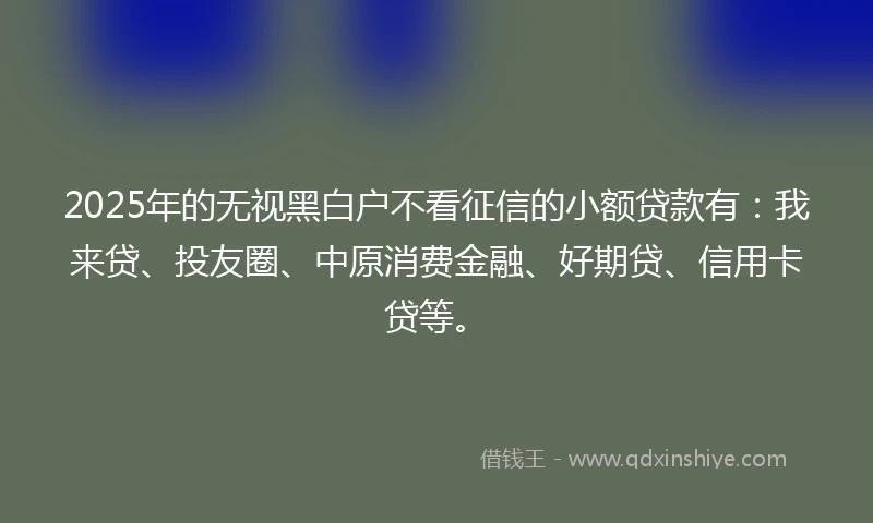 2025年的无视黑白户不看征信的小额贷款有：我来贷、投友圈、中原消费金融、好期贷、信用卡贷等。