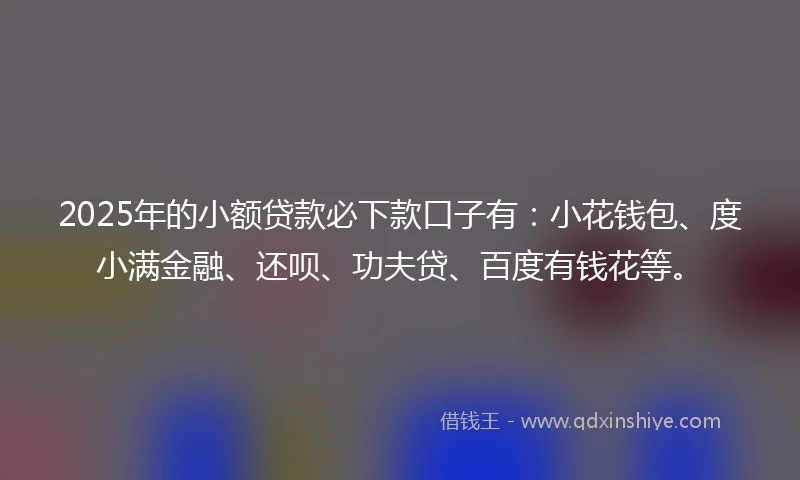 2025年的小额贷款必下款口子有：小花钱包、度小满金融、还呗、功夫贷、百度有钱花等。