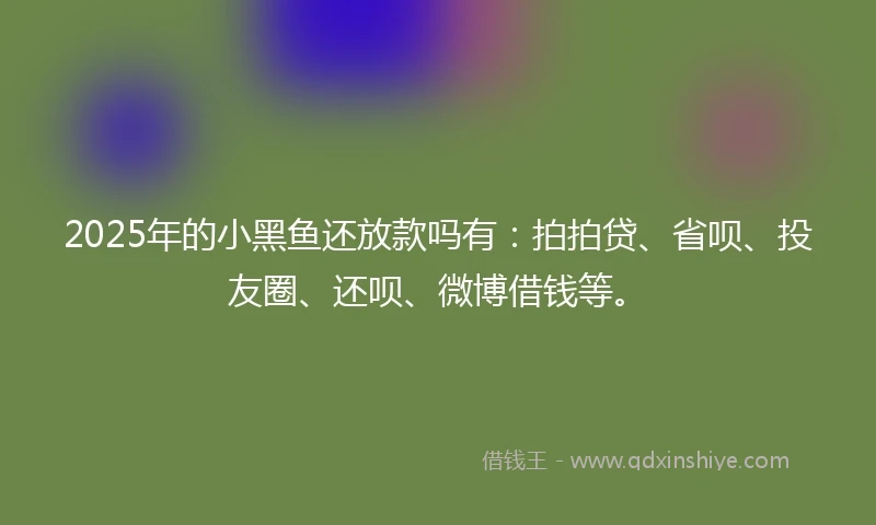 2025年的小黑鱼还放款吗有：拍拍贷、省呗、投友圈、还呗、微博借钱等。